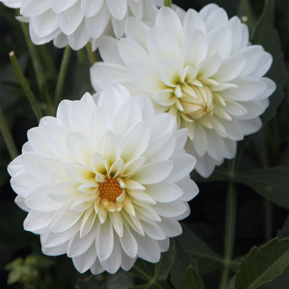 Gallery Art Fire - фото 2